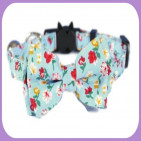 Collar-235